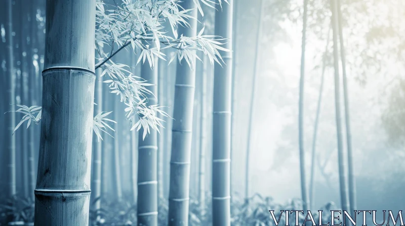 Serene Bamboo Forest - A Dreamlike Nature Photograph AI Image