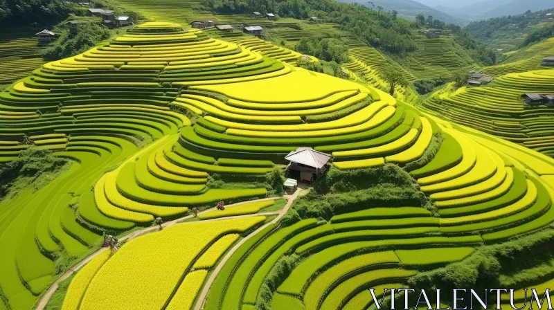 Vietnam Rice Terraces: A Mesmerizing Landscape in Yellow and Emerald AI Image