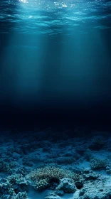 Tranquil Ocean Floor Illuminated by Light Beams