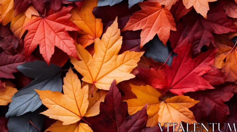 Autumn Leaves Photo Wallpaper: A Colorful Celebration of Fall AI Image
