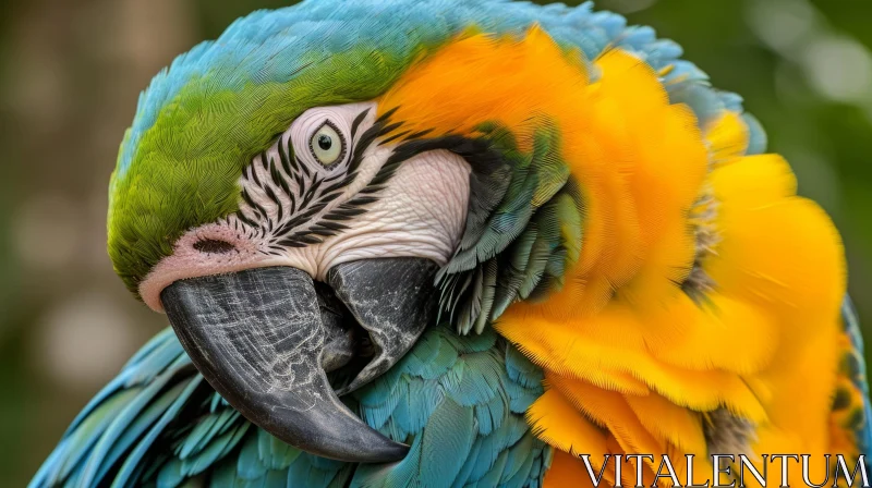 Close-up of a Blue-and-Gold Macaw in a Tropical Rainforest AI Image