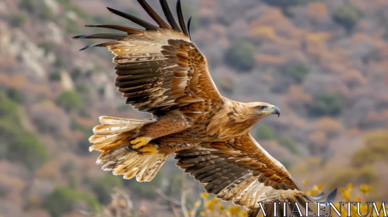 Graceful Flight of a Majestic Eagle AI Image