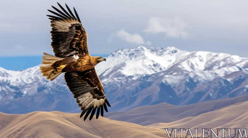 Eagle in the Mountains: A Majestic Display of Power and Beauty AI Image