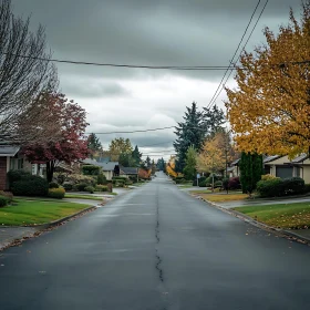 Autumnal Suburban Road