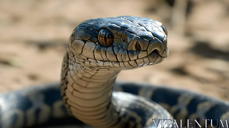 AI ART Detailed View of Snake's Scales