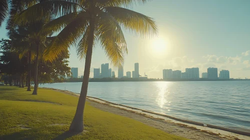 Peaceful Lakeside View with Palm Trees and Urban Horizon