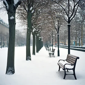 Tranquil Winter Park Scene with Snow-Dusted Benches