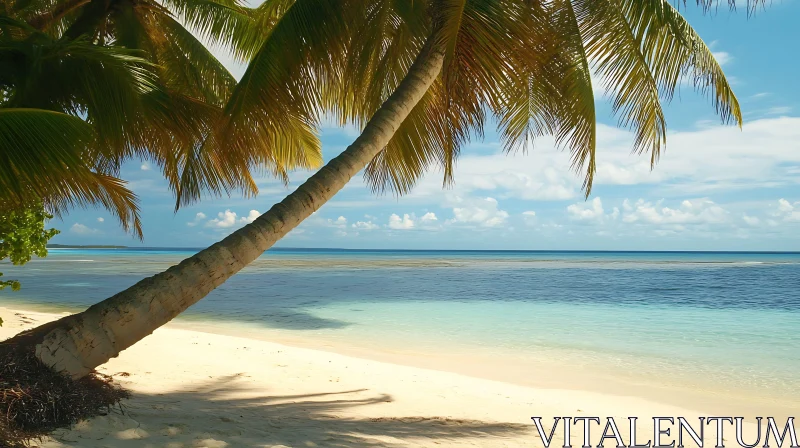 Tropical Beach Scene with Palm Tree and Calm Ocean AI Image