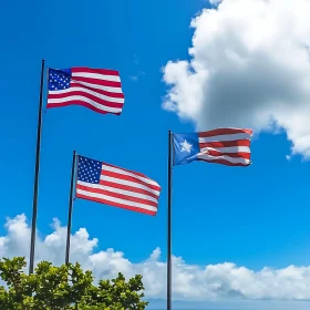 Patriotic Flags in Nature