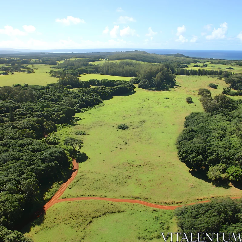 Scenic Aerial Landscape with Lush Green Fields and Path AI Image