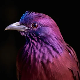 Colorful Avian Majesty