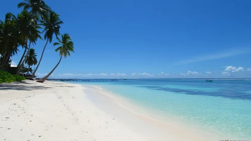 Idyllic White Sand Beach and Turquoise Ocean