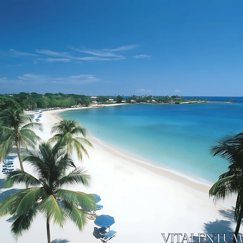 Tropical Paradise Alongside Turquoise Waters