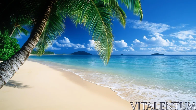 AI ART Serene Sandy Shore with Palm Trees and Blue Sky