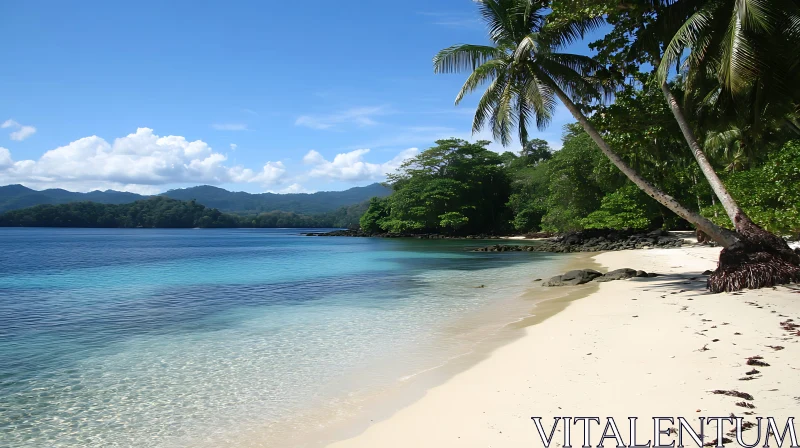 Serene Coastal Scene with Blue Ocean and Sandy Shore AI Image