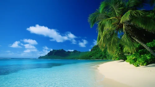 Pristine Sandy Beach on a Tropical Island