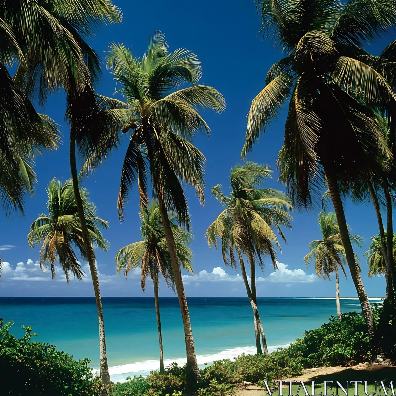 Scenic Tropical Beach with Palms AI Image