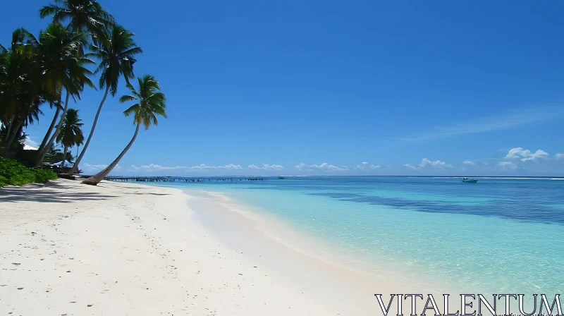 Idyllic White Sand Beach and Turquoise Ocean