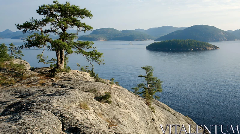 Serene Coastal Landscape with Pine Trees and Forested Islands AI Image