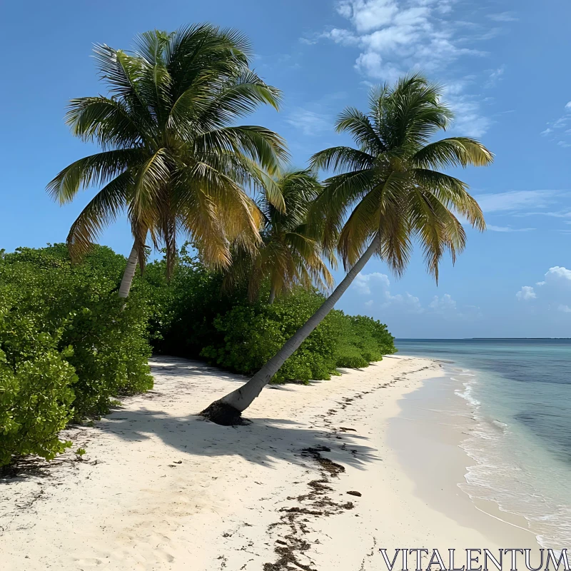 Peaceful Coastal Paradise with Leaning Palm Trees AI Image