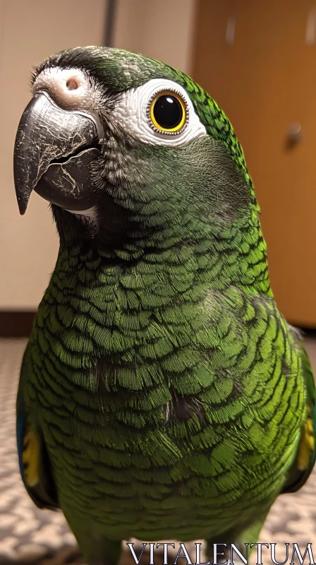 AI ART Emerald Feathered Parrot Close-Up