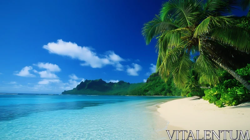 Pristine Sandy Beach on a Tropical Island