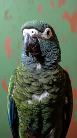 Detailed Parrot Portrait