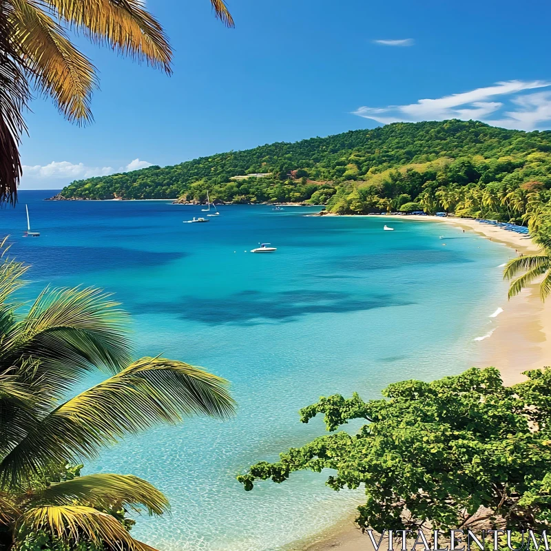 Paradise Island Beach with Clear Ocean Waters AI Image