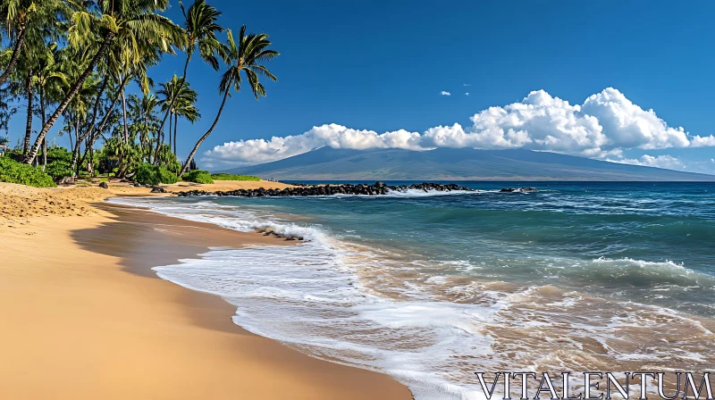 Peaceful Beachfront with Lush Palm Trees and Clear Skies AI Image