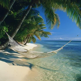 Tranquil Island Hammock by the Ocean