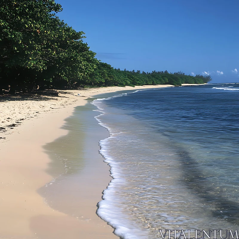 Tranquil Coastal Scene with Azure Waters AI Image