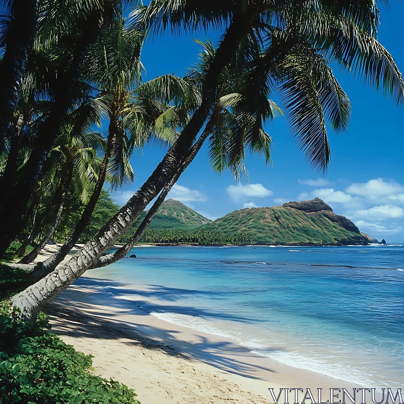 Serene Tropical Island Beach Landscape AI Image