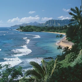 Scenic Beach with Mountains and Palm Trees