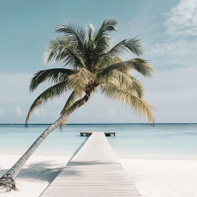Serene Tropical Beach Scene with Palm and Pier