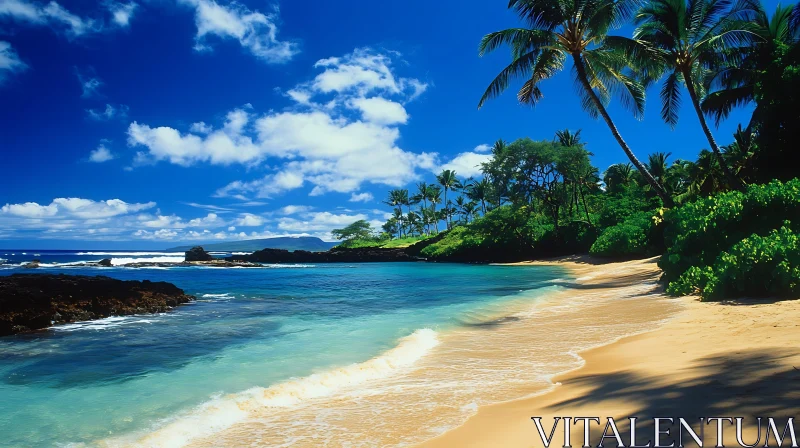 Scenic Tropical Beach with Palm Trees and Clear Waters