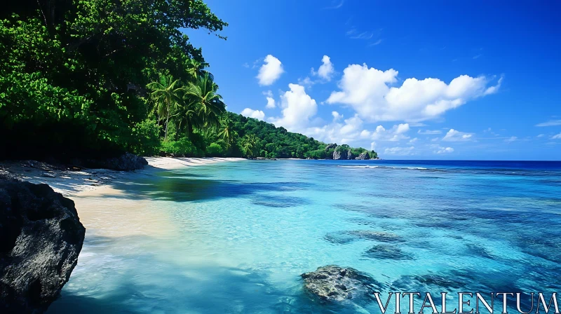 Idyllic Tropical Beach Scene