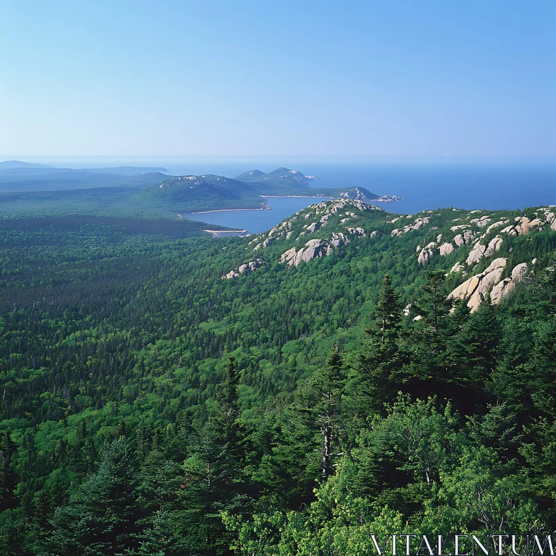 Lush Forest Extending to Serene Sea AI Image