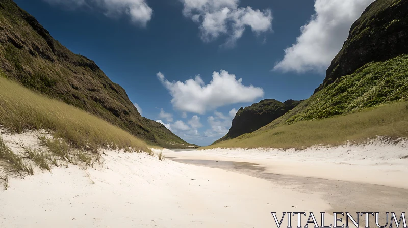 Serene Natural Beach Landscape AI Image