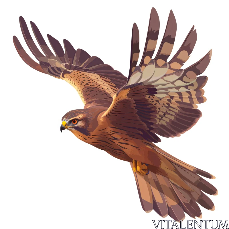 Illustration of a Hawk in Flight AI Image