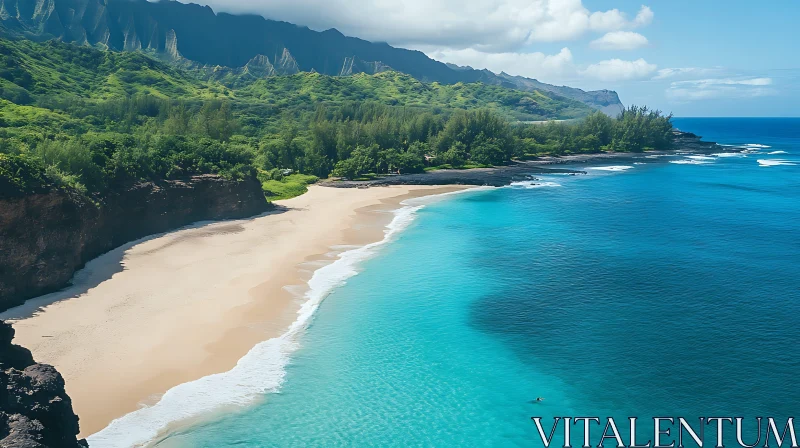 Serene Coastal Beach Scene with Clear Blue Ocean AI Image