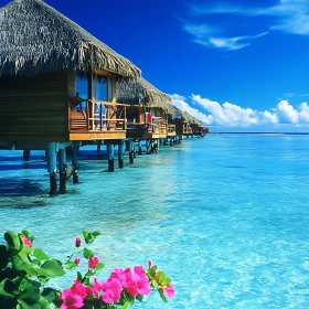 Tropical Overwater Bungalows