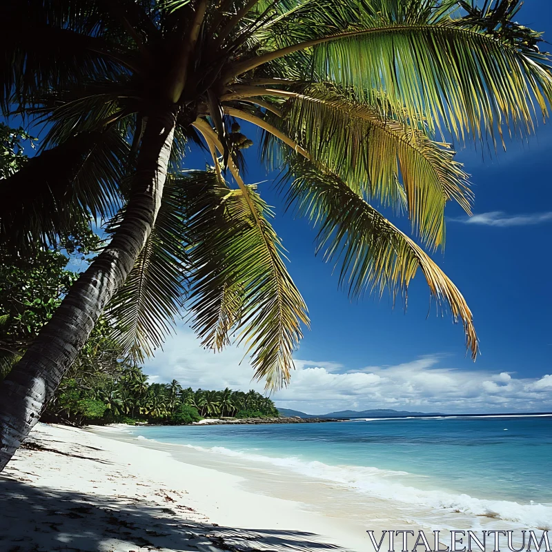 Idyllic Palm-fringed Beach on Tropical Island AI Image