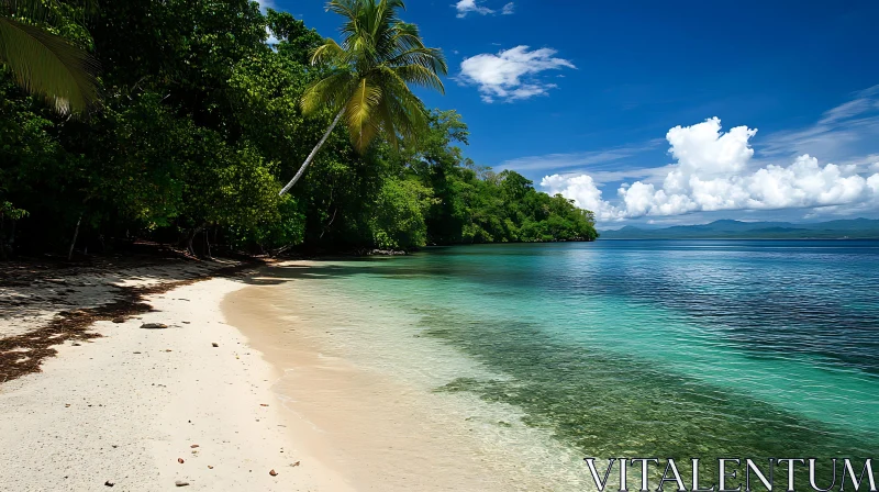 Tropical Beach Paradise with Lush Palm Trees AI Image