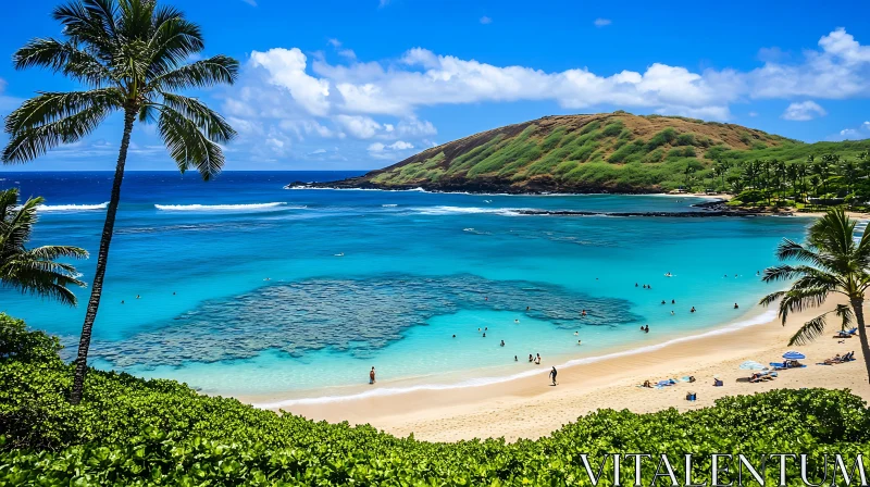 Tropical Paradise Beach with Crystal Clear Waters AI Image