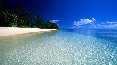 Scenic Tropical Beach with Pristine Waters