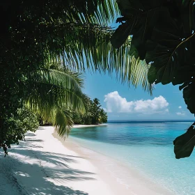 Idyllic Island Beach with Blue Skies and Palm Trees