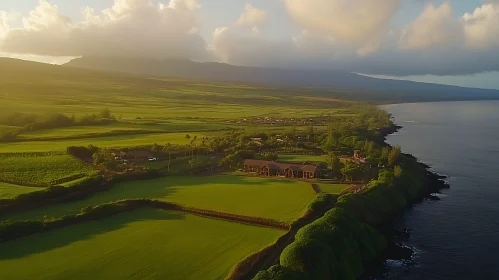 Scenic Landscape of Green Fields and Coastline