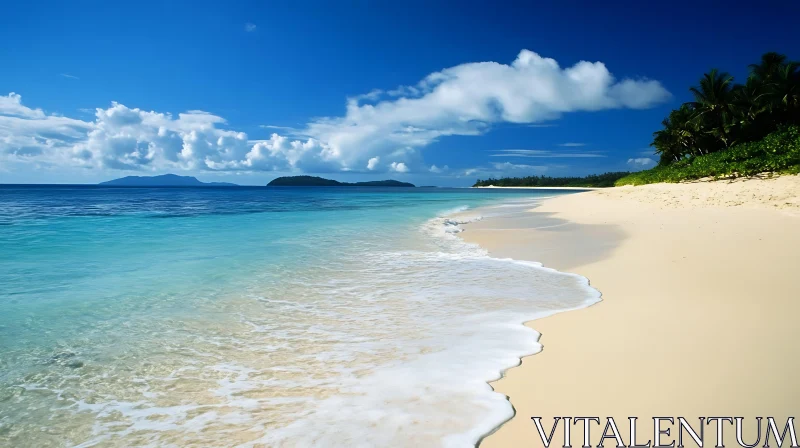 Serene Sandy Beach with Blue Waters and Lush Palm Trees AI Image