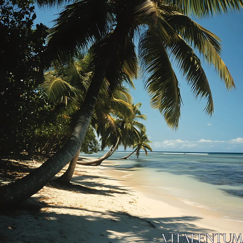 Serene Tropical Shoreline with Golden Sand and Palms AI Image