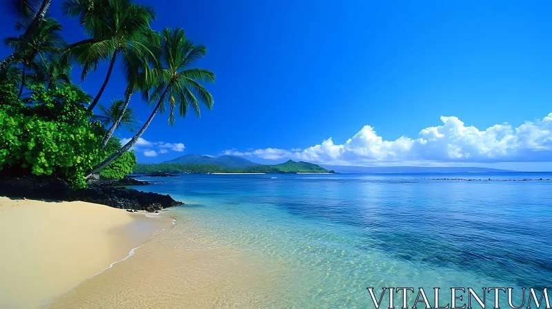 Tranquil Island Paradise with Pristine Beach AI Image